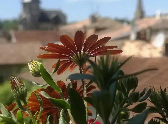 Frühstückspension Maison Belmont 3*